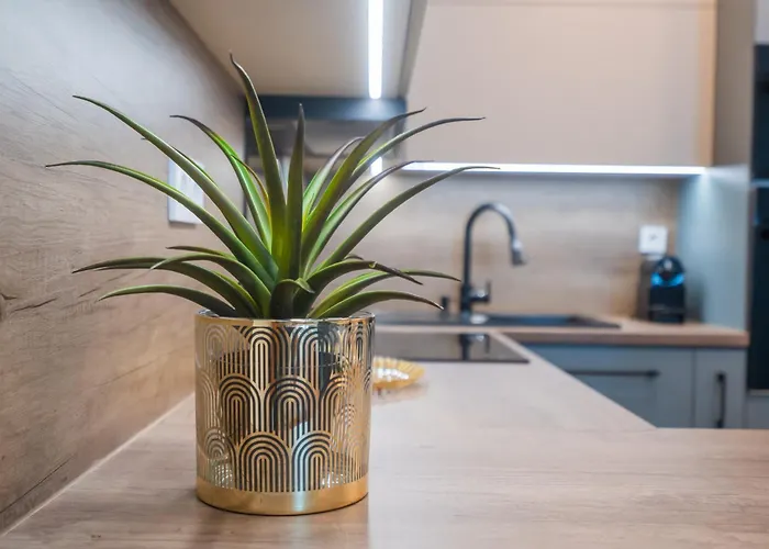 شقة Myflat Wave 31